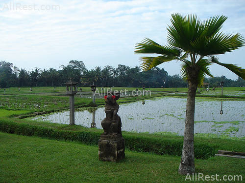 The Chedi Club boutique 24